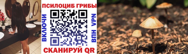 Галлюциногенные грибы ЛСД  blacksprut ссылка  Сергач 